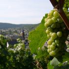 Gruß von der Mosel