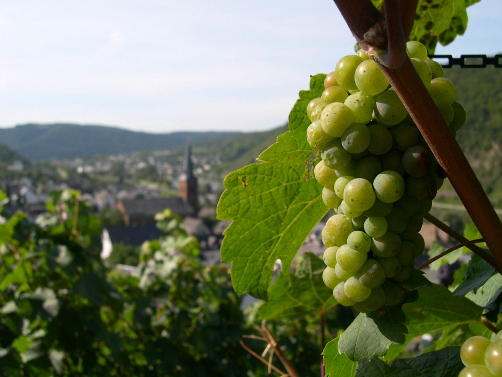 Gruß von der Mosel