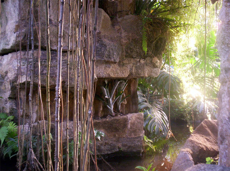 Gruta no Jd Botanico Sao Paulo