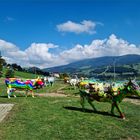 Gruyerzersee Kanton Freiburg     Schweiz