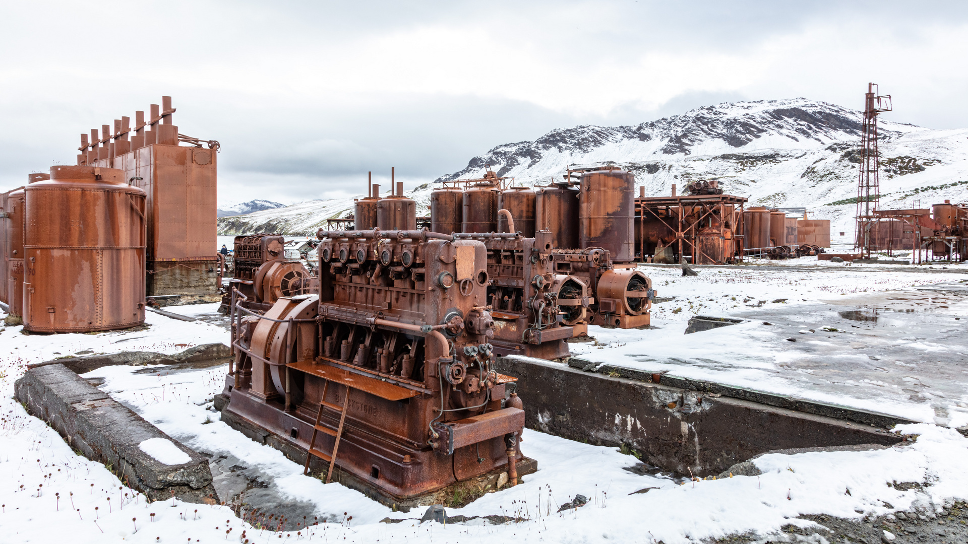 Grytviken 2