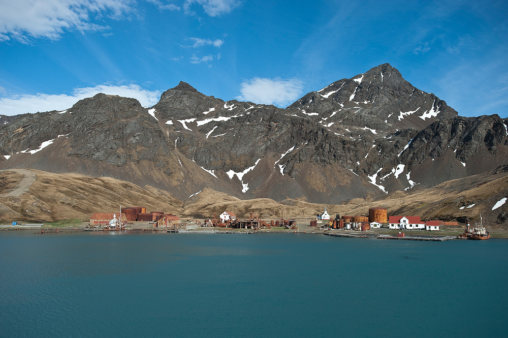 Grytviken