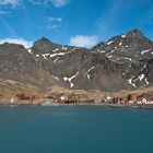 Grytviken