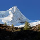 Gschlösstal / Matrei