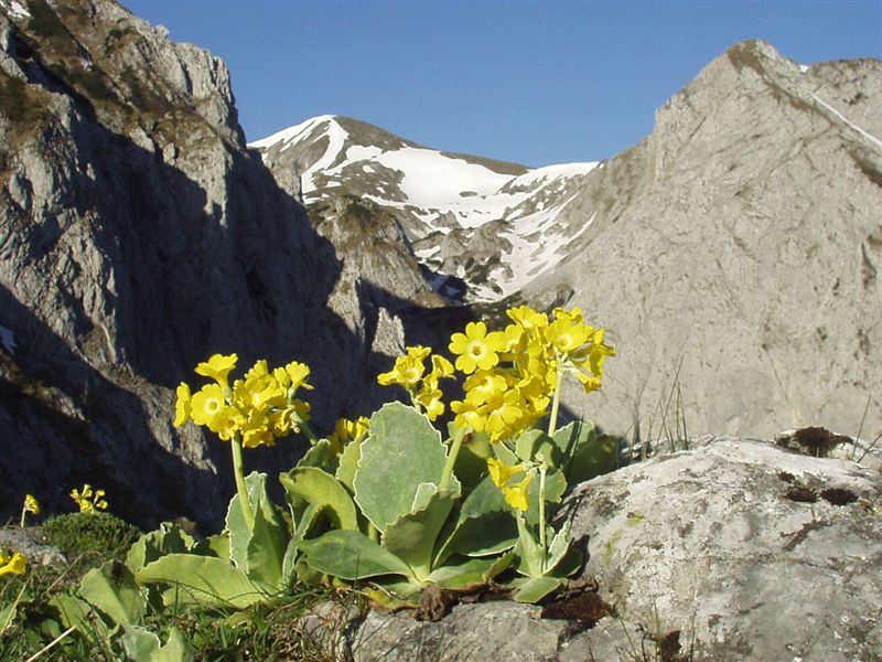 Gschödererkarblick 2....