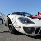 GT 40 Wochen