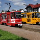 GTH 304 und 319