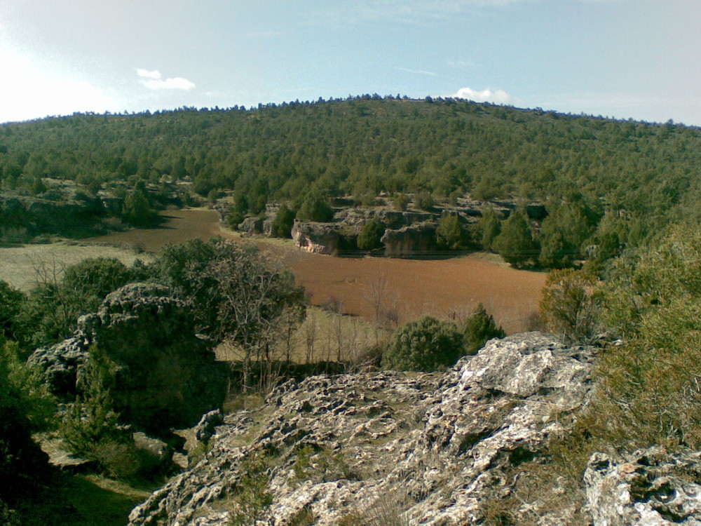 Guadalajara la verde