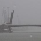  Guadalquivir con niebla.