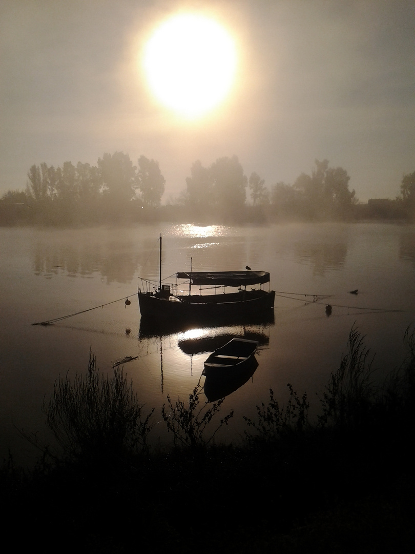 Guadalquivir por Coria