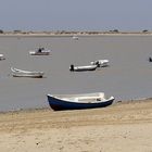 Guadalquivir revuelto