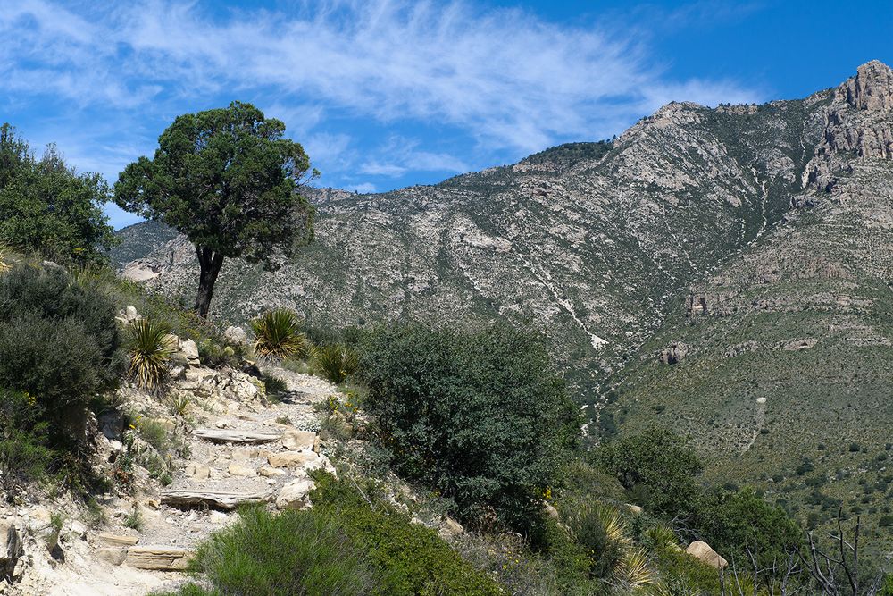 Guadalupe Mountains National Park