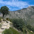 Guadalupe Mountains National Park