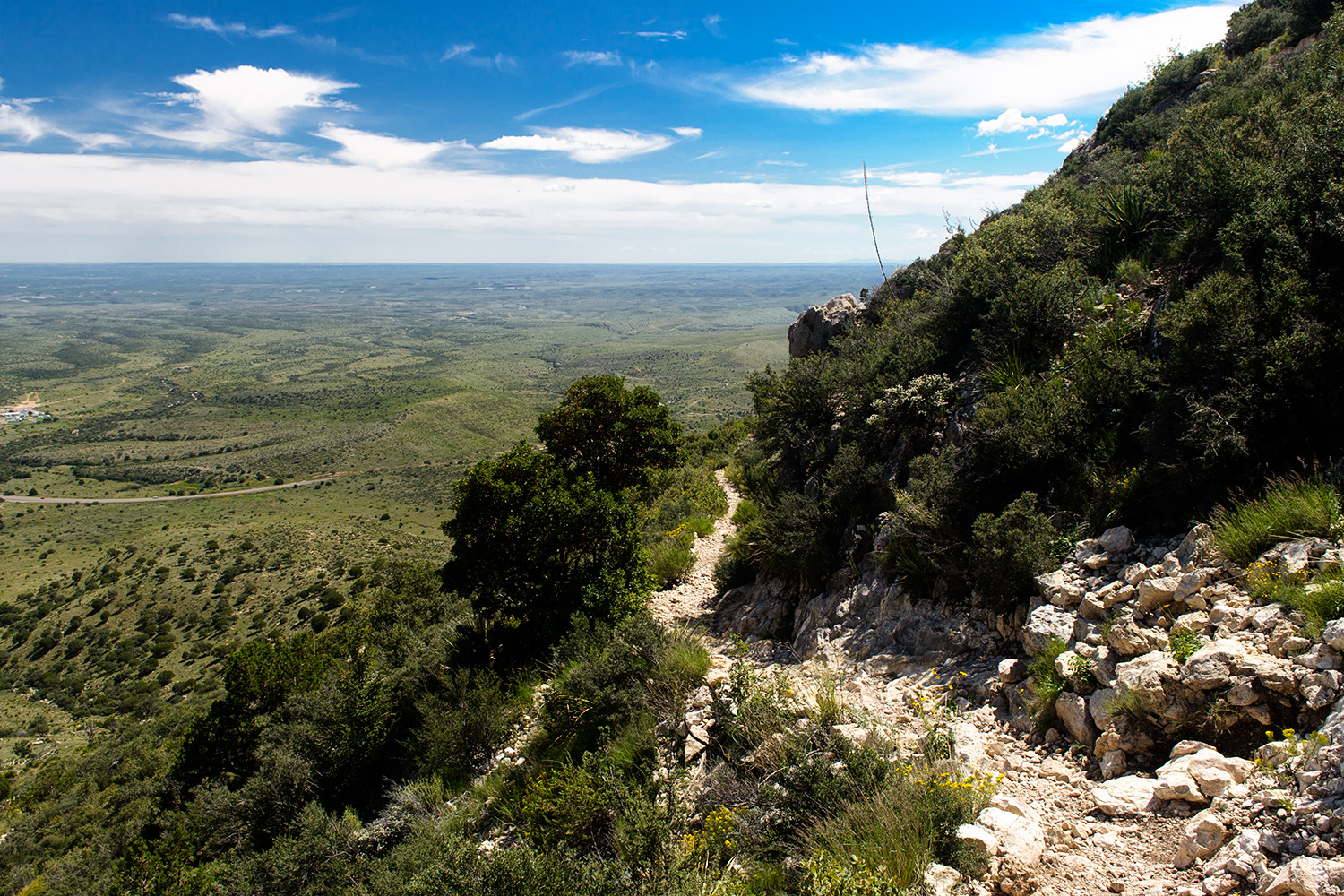 Guadalupe Peak Trail