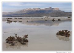 Guadalupe Salt Basin