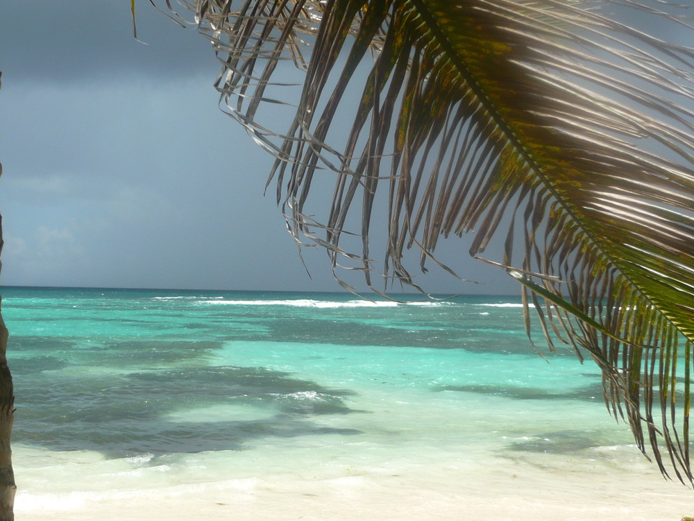 Guadeloupe 2008