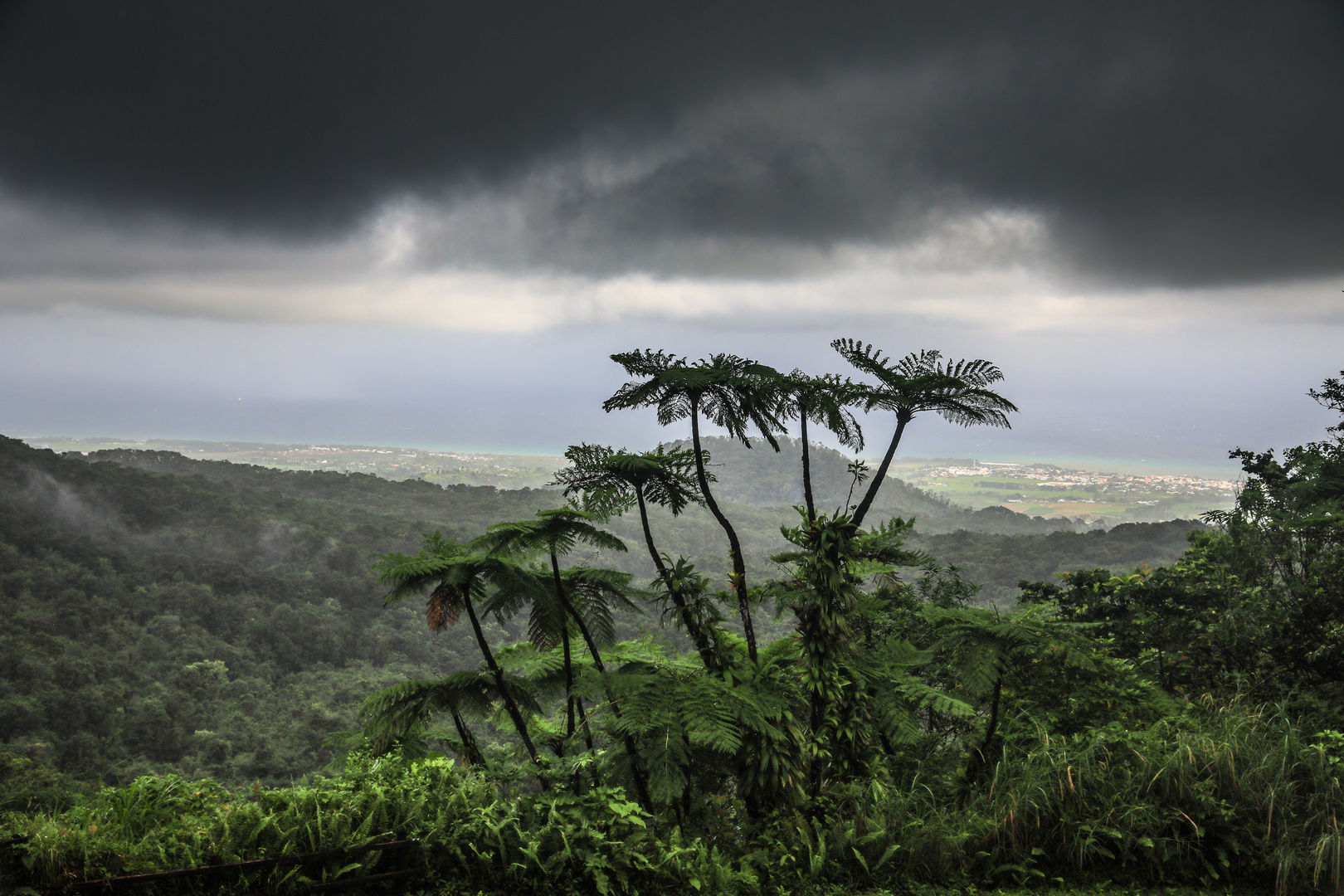 Guadeloupe 6