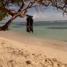 Guadeloupe 
