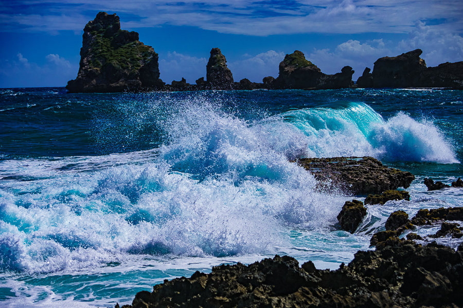 Guadeloupe am Meer I