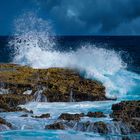 Guadeloupe am Meer II