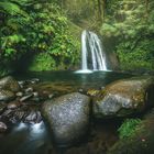 Guadeloupe - Cascade aux Ecrivisses