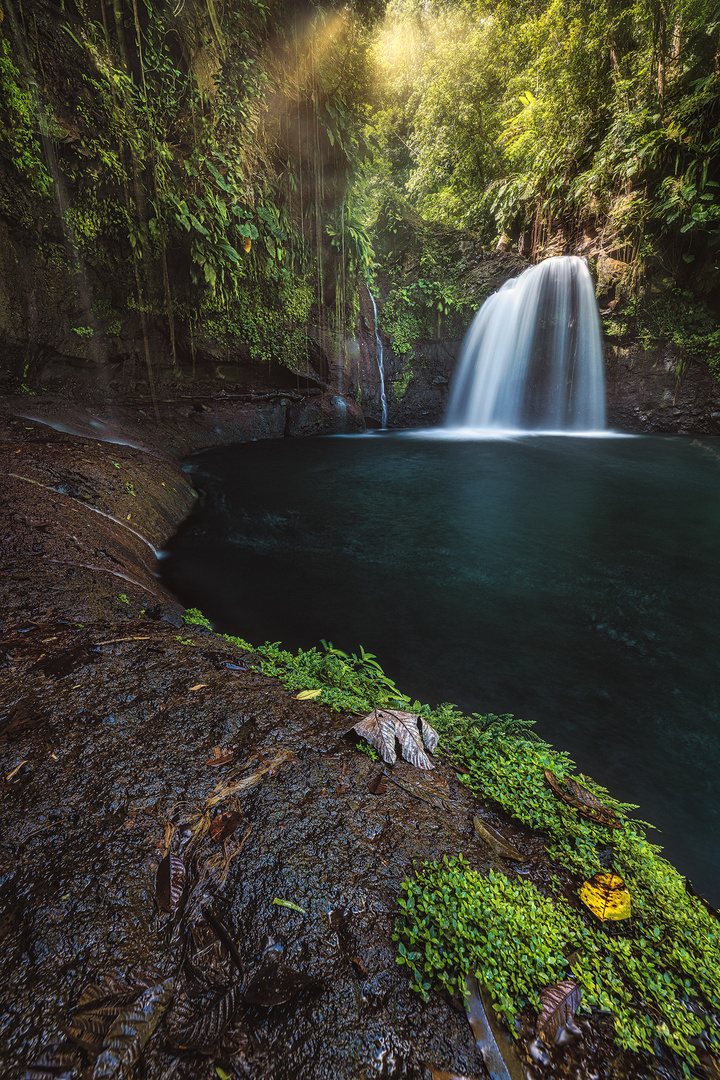 Guadeloupe - Saut de la Lézarde 