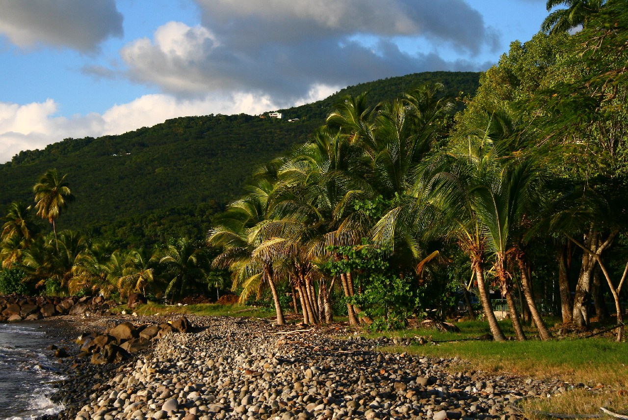 Guadeloupe01