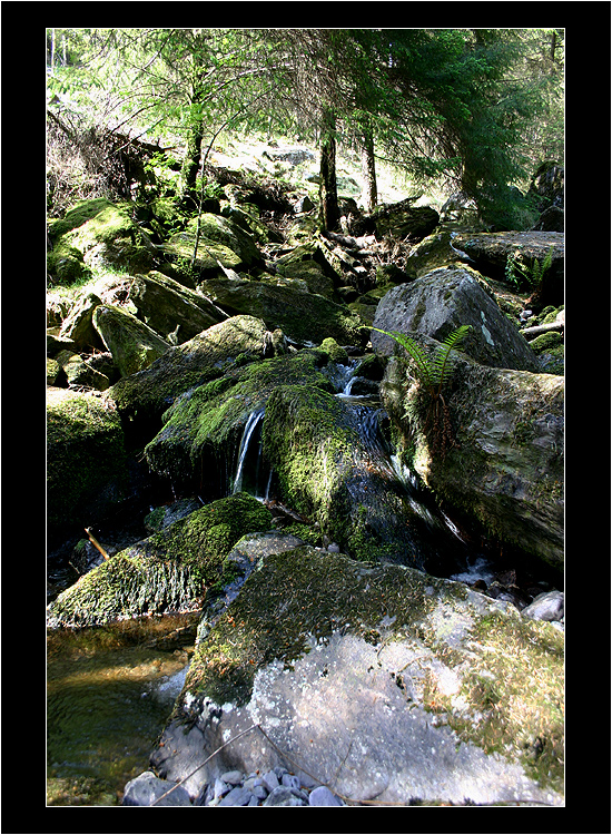 Guagan Bara Forest Park II