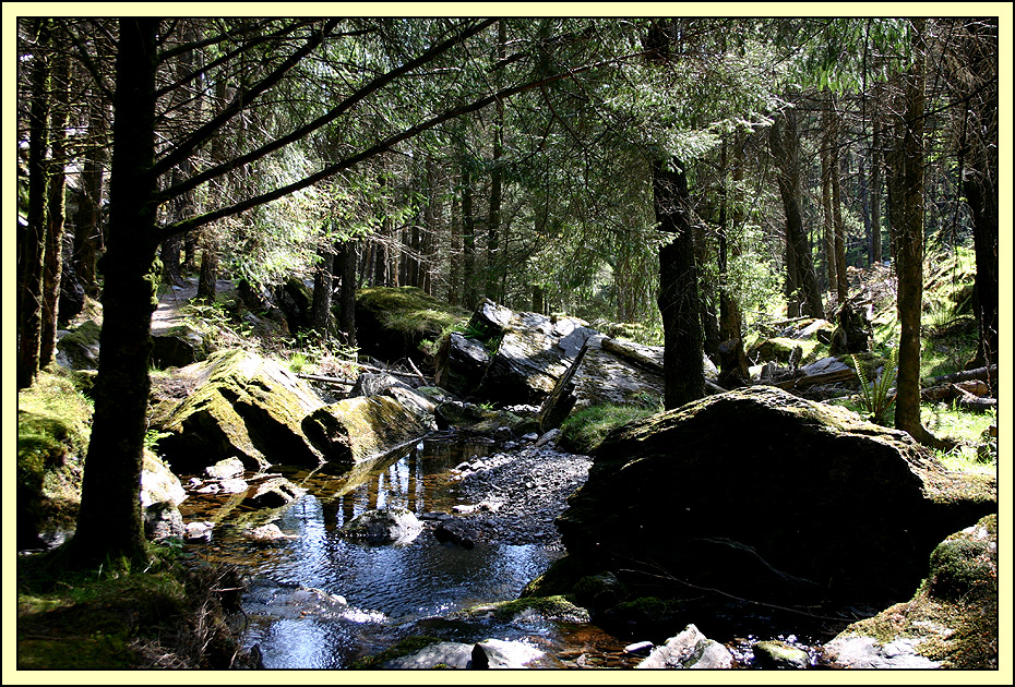 Guagan Barra Forest Park...