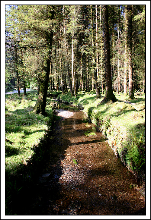 Guagan Barra Forest Park II....