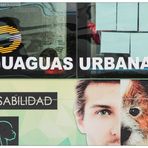 guaguas urbanas