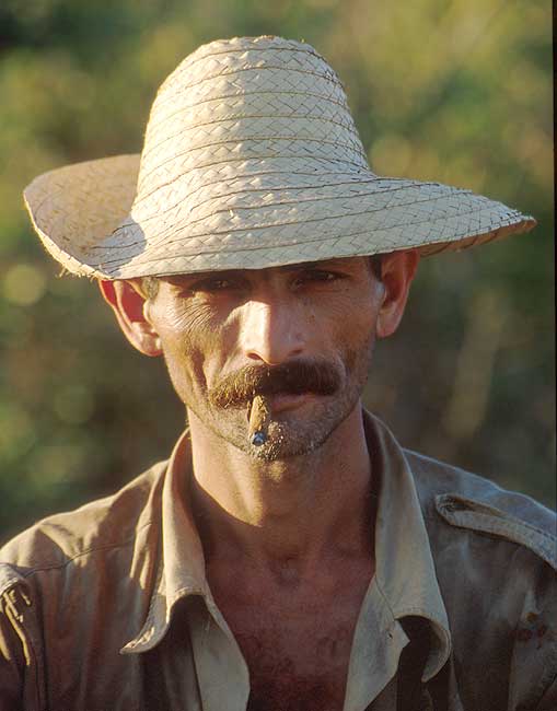 Guajiro cubano