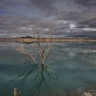 Gualdachin Reservoir -C1-D85_8694