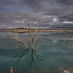 Gualdachin Reservoir -C1-D85_8694