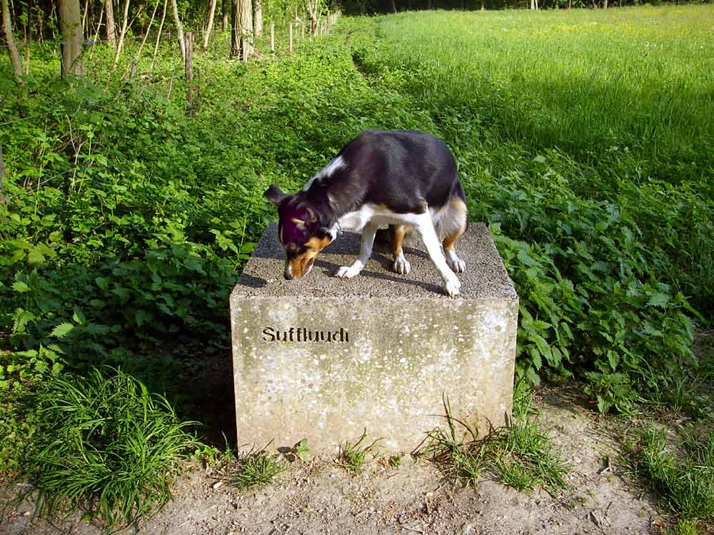 Guapa scheint nicht begeistert......