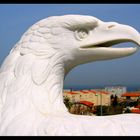 Guard of Haifa