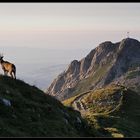 Guard of Mountains