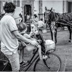 - Guarda babbo, il cavallino ci guarda!