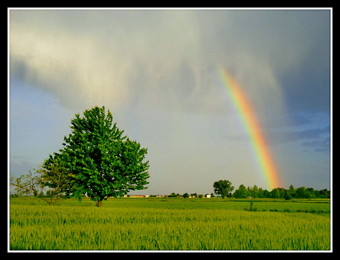 GUARDA!!! C'E' L'ARCOBALENO!!!