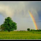 GUARDA!!! C'E' L'ARCOBALENO!!!