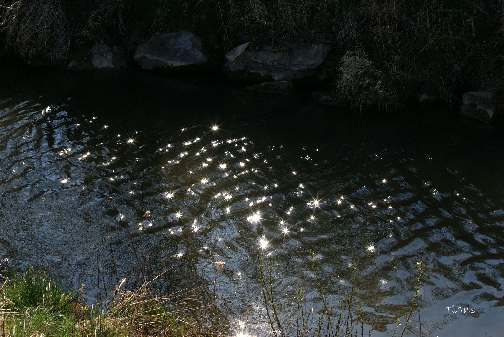 guarda delle stelle