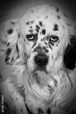 guardami negli occhi quando mi abbandoni