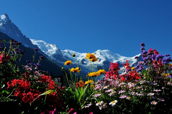 guardando il Monte Bianco .....