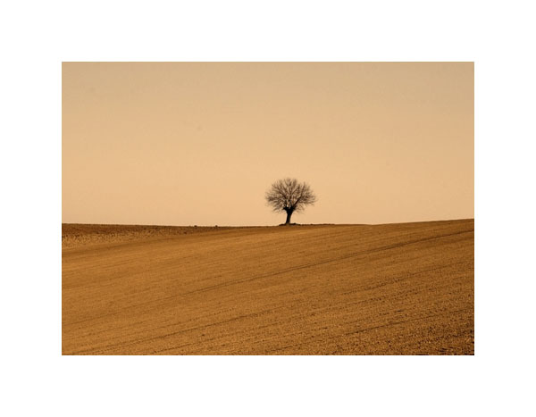 guardando il silenzio