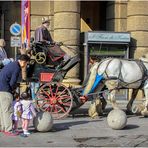 -Guardate bambine, sono "gemelli" anche loro ...