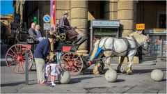 -Guardate bambine, sono "gemelli" anche loro ...