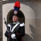 Guardia al Quirinale