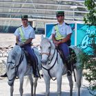 Guardia Civil