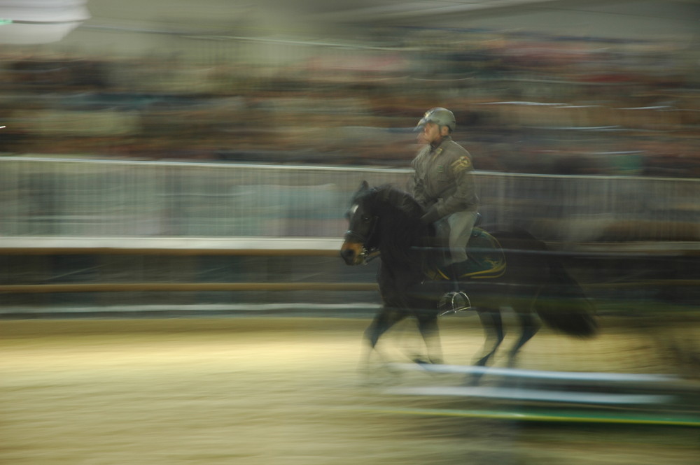 guardia forestale a fieracavalli