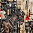 guardia real